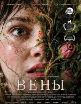 Вены